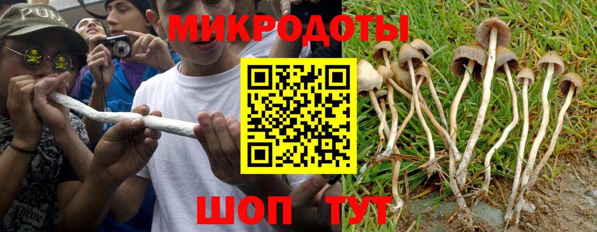 Псилоцибиновые грибы GOLDEN TEACHER Лабытнанги